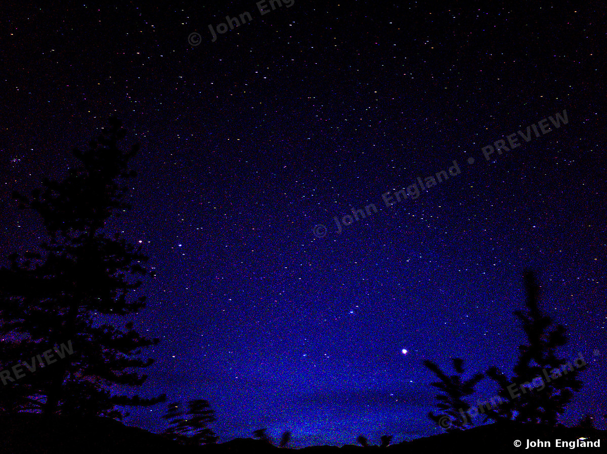 Blue Night Over the Pines – Deep-blue starry sky over pine silhouettes, Shasta Lake area.