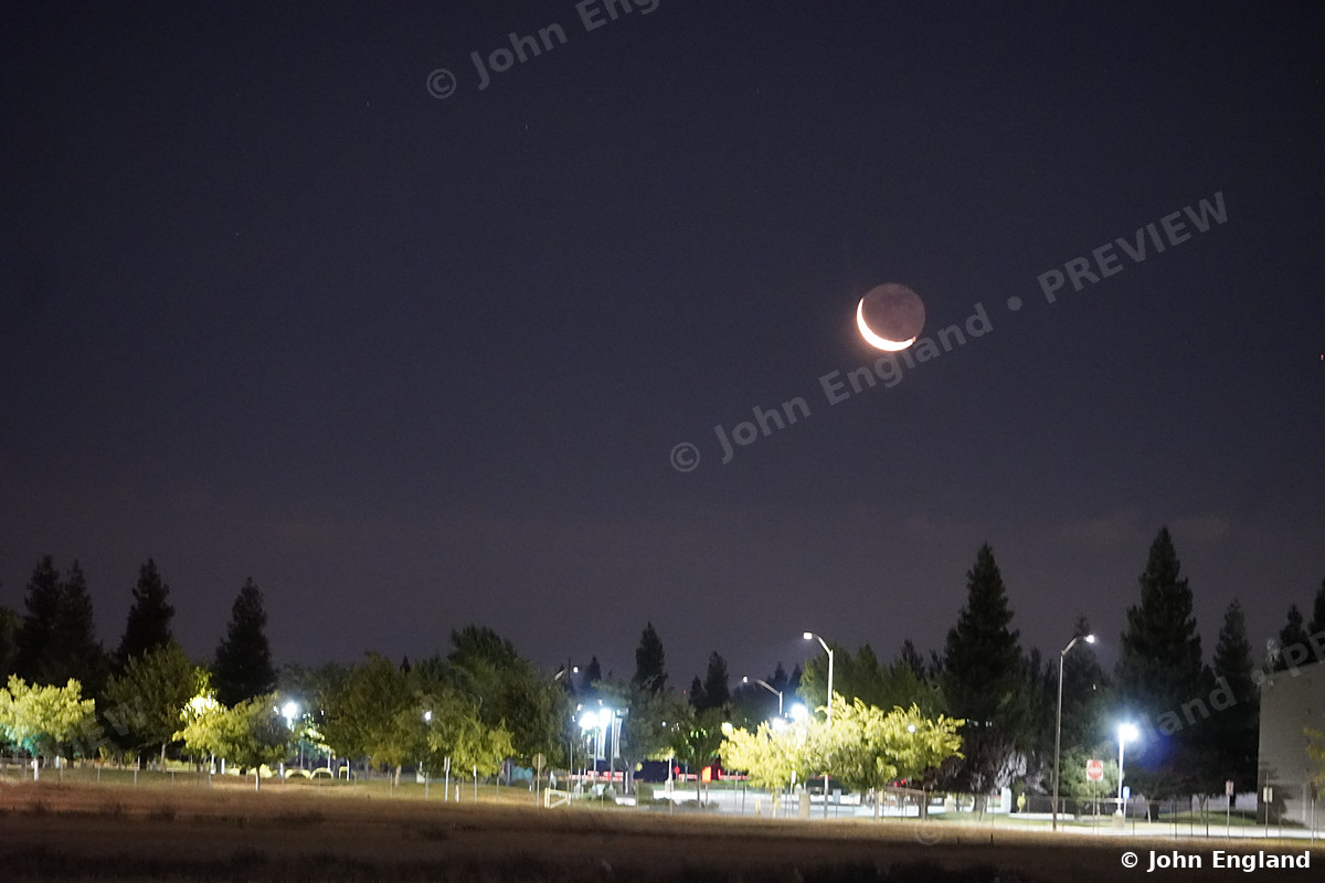 Crescent over Night Street – Thin crescent moon above a tree line and street lights.