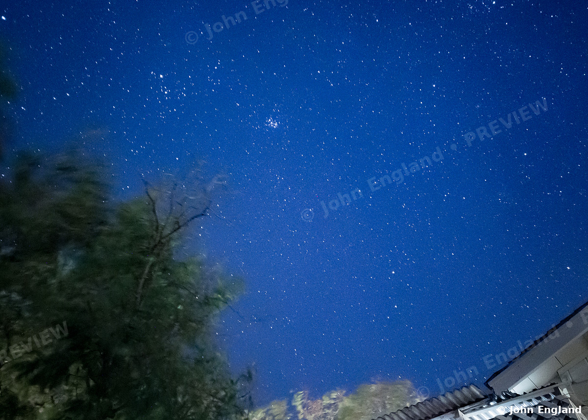 Starfield Above the Pine Tops – Star field over pines, Northern California, Oct 27, 2019.