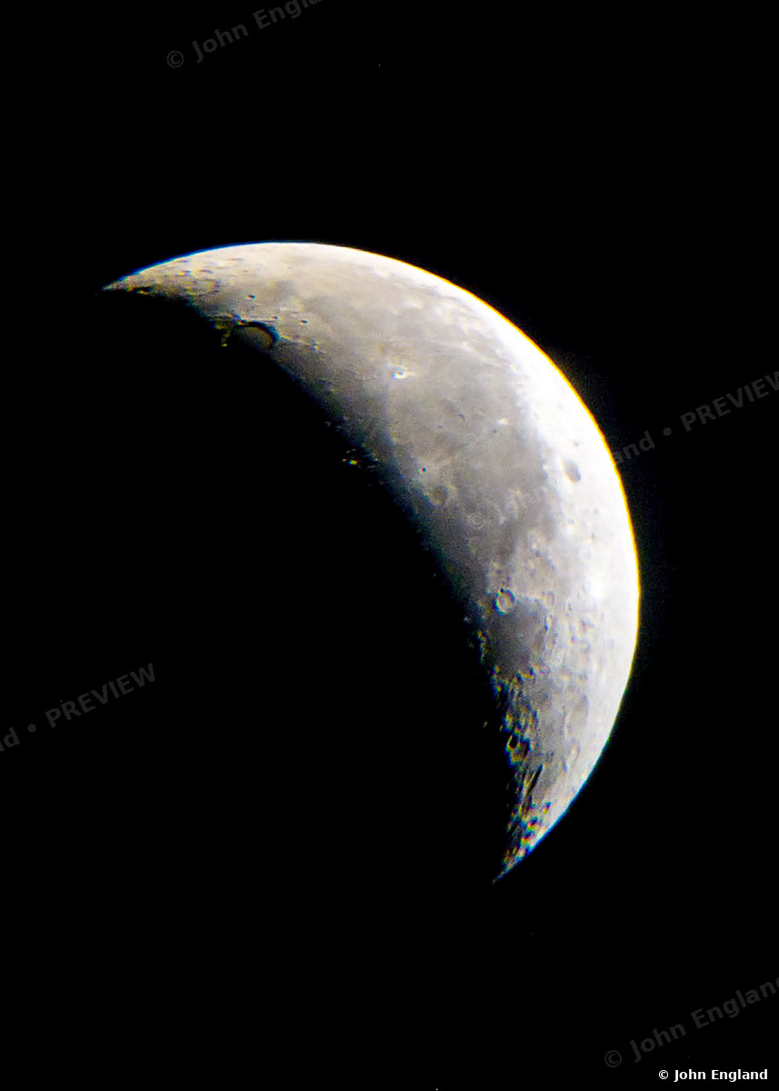 Crescent Detail – Crescent moon with crisp terminator craters on black.