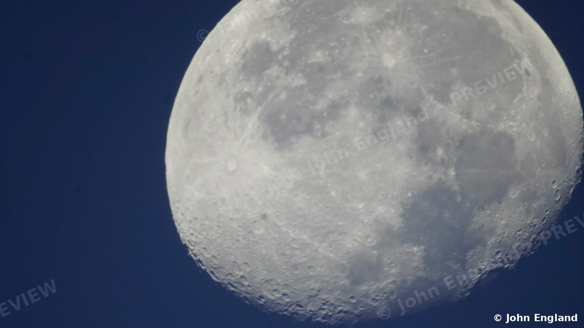 Gibbous Moon at Dawn – Gibbous moon against dawn-blue sky, Butte County, CA.