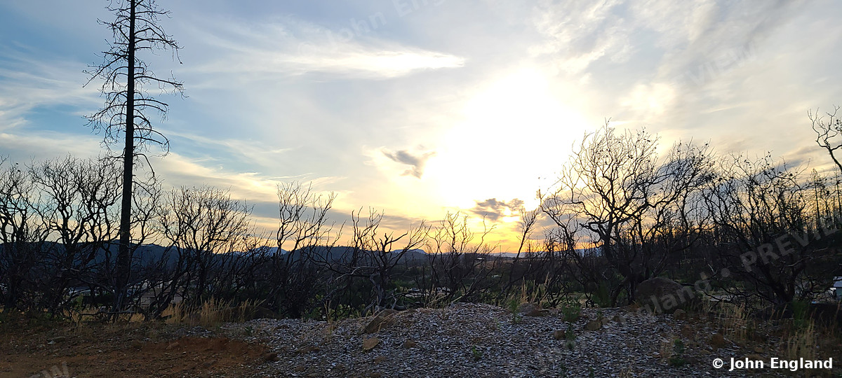 Fire-Recovery Sunrise – Sunrise over fire-recovery scrub along Rock Creek Road, Keswick, CA, Jun 26, 2020.