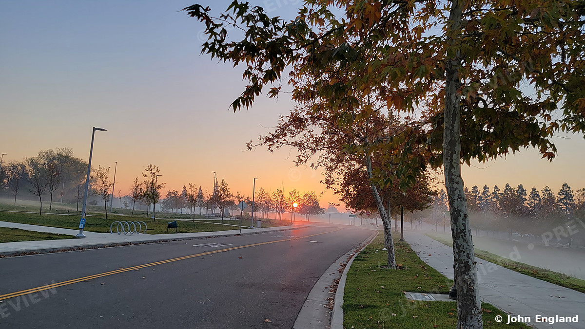 Foggy Sunrise Road – Sun rising through fog along a tree-lined road.