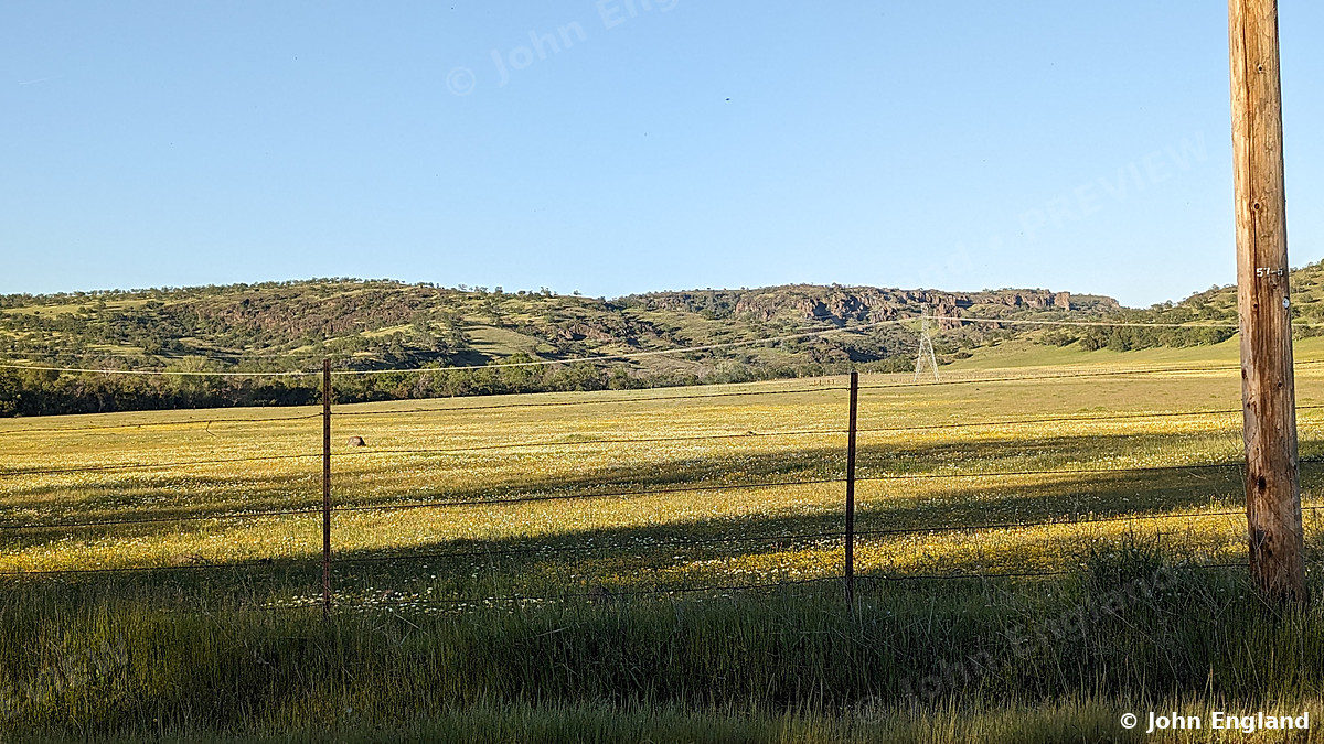 Golden-Hour Foothill Field – Golden-hour foothill field along Foothill Road, Tehama County, CA.