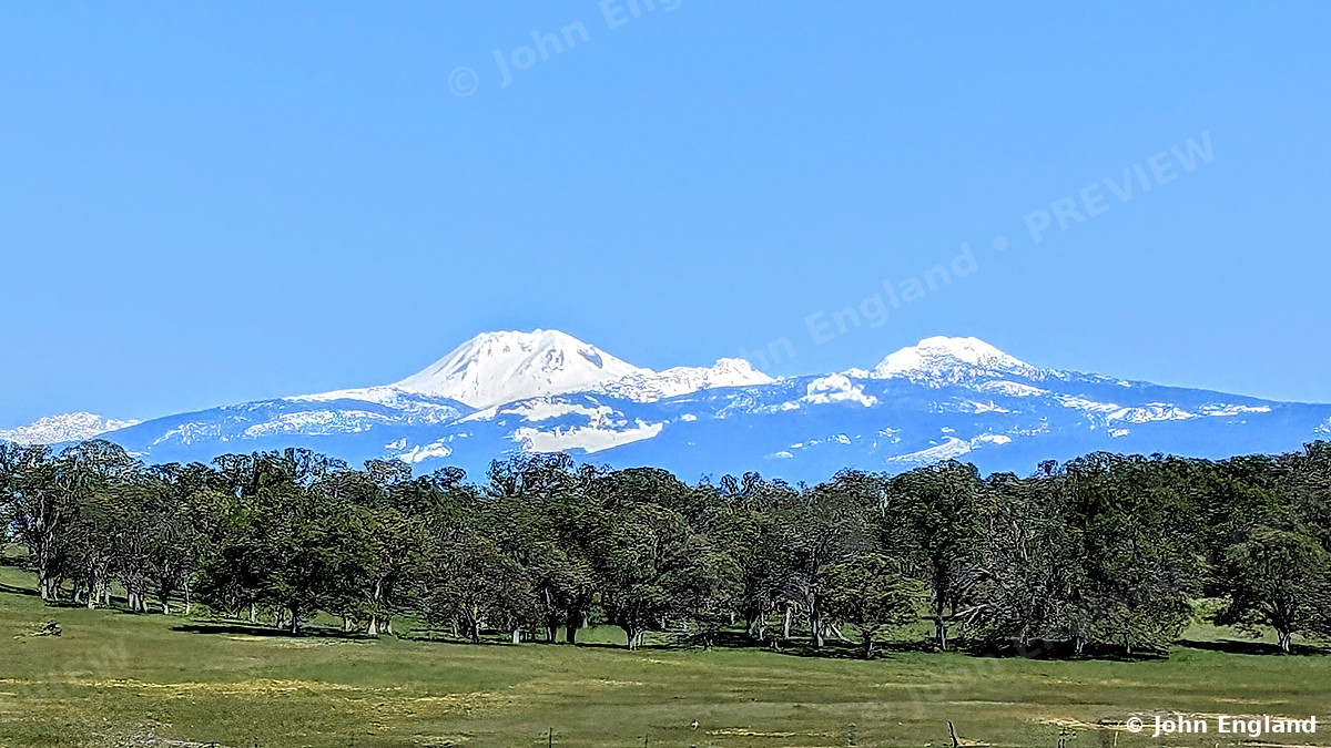 Lassen Peak over Oak Woodland – Snowcapped Lassen Peak over spring oak woodland, Jellys Ferry Road, Tehama County, CA, Apr 1, 2024.