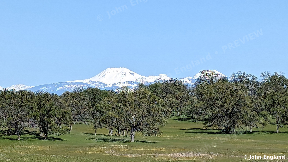 Lassen Peak over a Spring Pasture – Snowcapped Lassen Peak over a spring oak pasture, Jellys Ferry Road, Tehama County, CA, Apr 1, 2024.