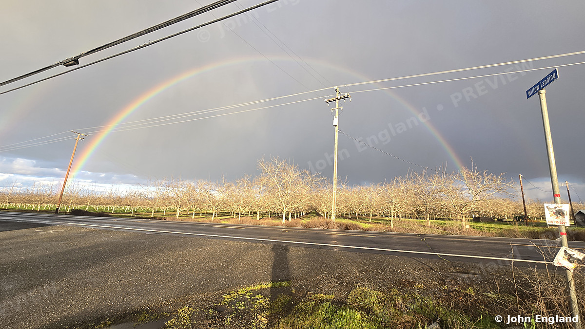 Orchard Rainbow – Rainbow over a Butte County orchard, Mar 13, 2025.