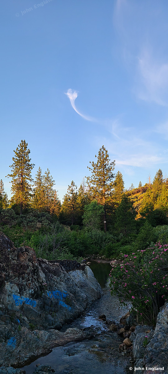 Pines over the Gorge – Pines above a rocky gorge, Northern California, Jun 3, 2020.