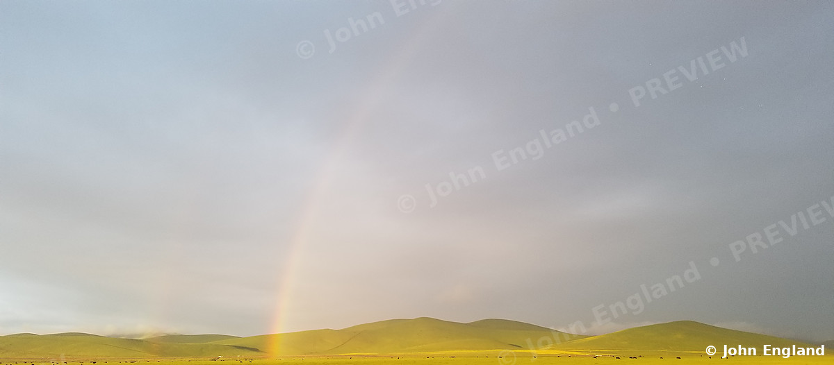 Rainbow over Spring Hills – Rainbow over green spring hills, Northern California. Mar 2019. John England.