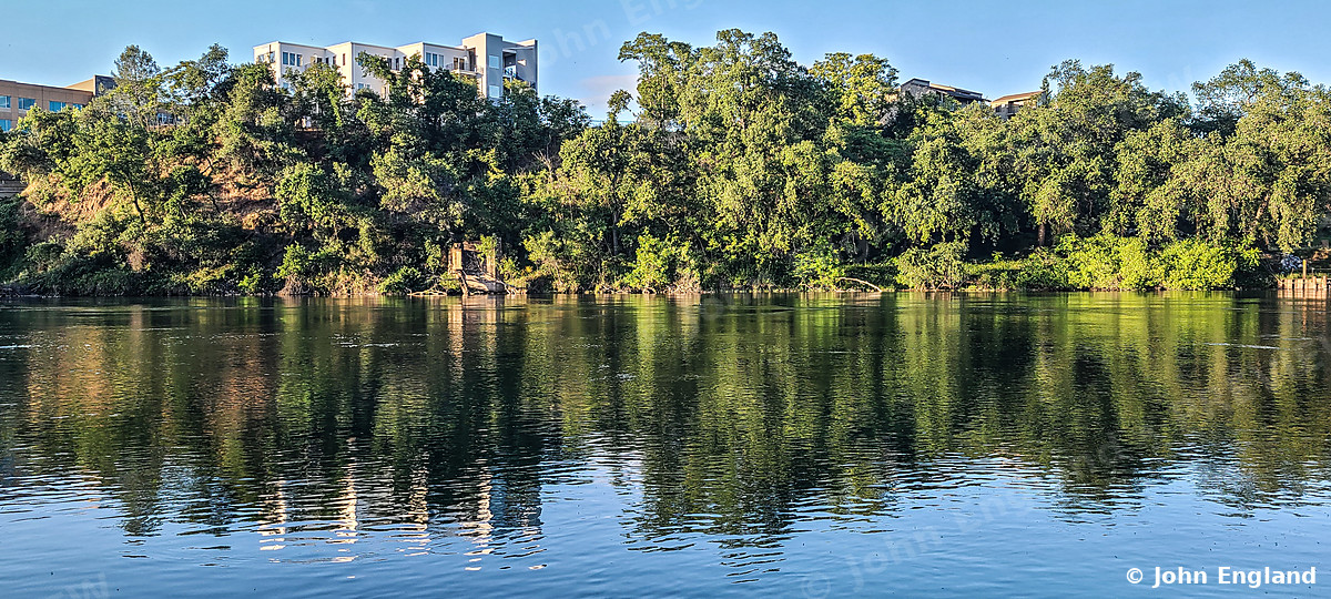 River Reflections – Trees reflected on the Sacramento River, Redding, CA, May 21, 2020.