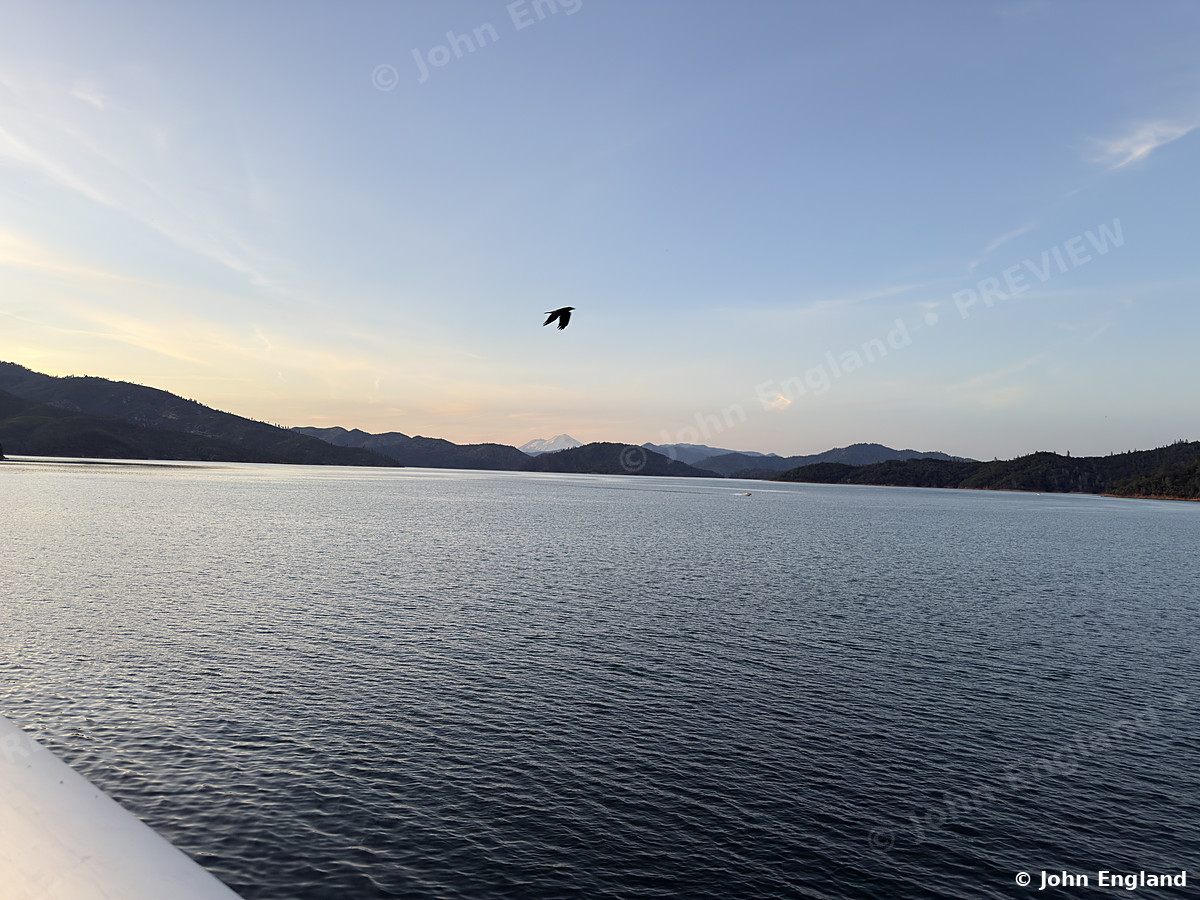 Shasta Lake at Dusk – Shasta Lake at dusk from the Shasta Dam overlook, Shasta County, CA.