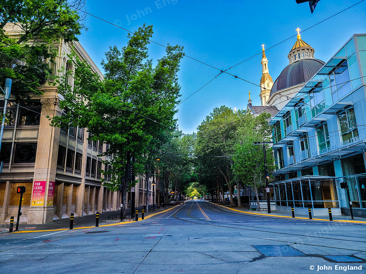 Capitol Dome Down a Tree-Lined Street – Street view toward the California State Capitol dome, downtown Sacramento, CA. Apr 2021. John England.