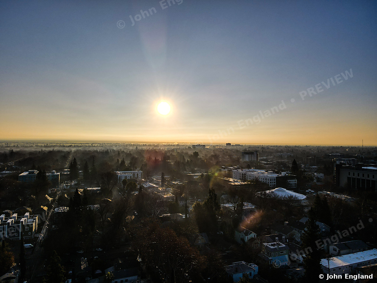 Midtown Canopy Sunrise – Sunrise over Midtown Sacramento tree canopy.