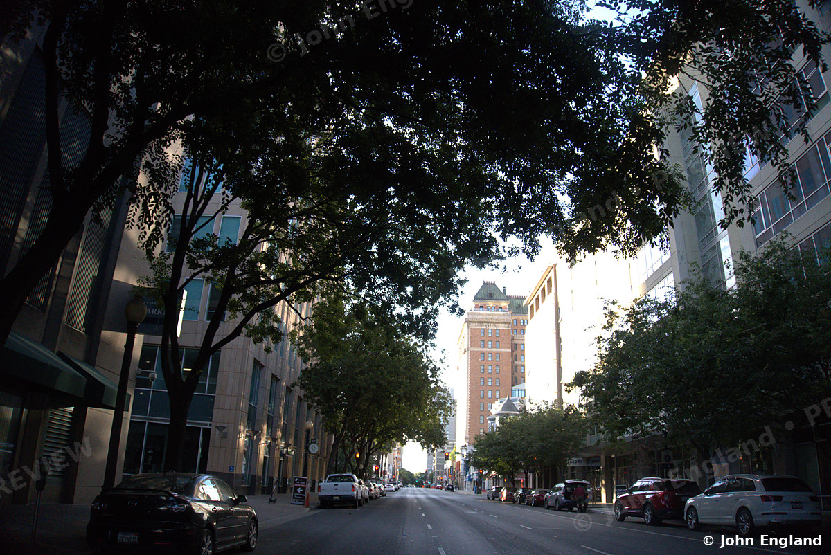 Shaded Downtown Street – Tree-shaded downtown street, Sacramento.