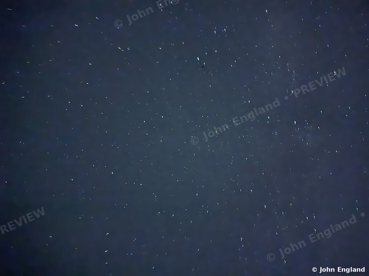 Starfield, Shasta Lake Area – Star field over the Shasta Lake area, CA. Jun 3, 2025. John England.