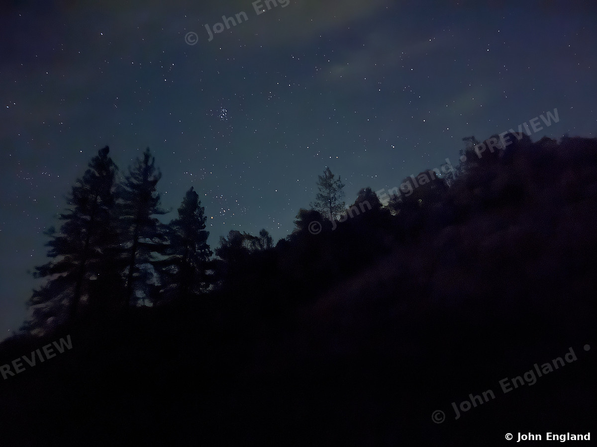 Pine Silhouettes Under the Stars, Shasta Lake – Stars over the pines, Shasta Lake area, CA. Aug 24, 2026. John England.