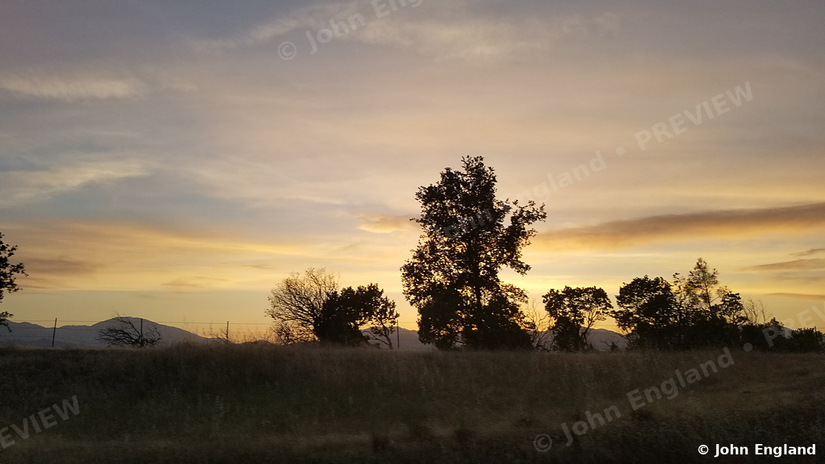 Lone Tree at Sunset – A lone tree at sunset. May 12, 2019. John England.