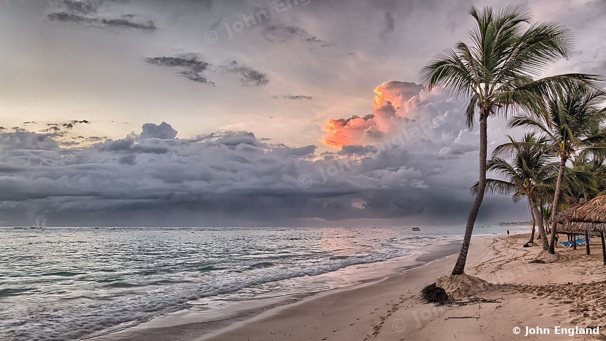 Palm-Lined Beach at Dusk – A palm-lined beach at dusk. John England.