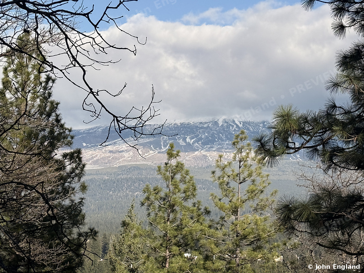 Valley View Through the Pines, Weed – Valley view through the pines near Weed, CA. Mar 2, 2026. John England.
