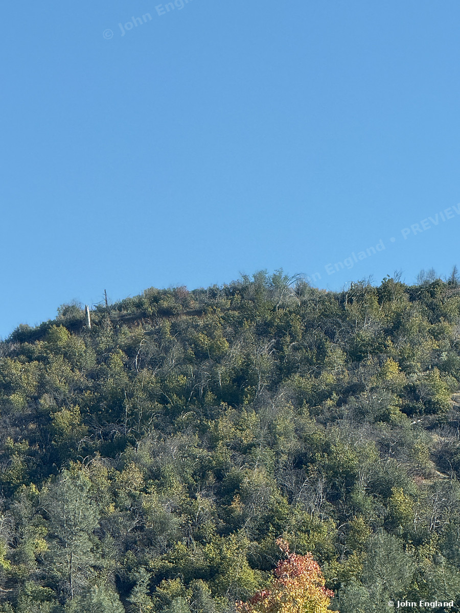 Oak Hillside, West Redding – Oak-covered hillside with a touch of fall color under clear blue sky, west of Redding. Oct 18, 2025. John England.