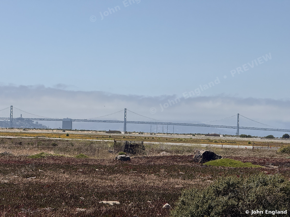 Bay Bridge Above the Marine Layer, from Alameda Point – The Bay Bridge above a low marine layer, seen across Alameda Point. Jun 15, 2026. John England.