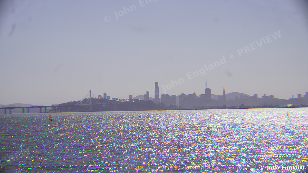 San Francisco Skyline Across Sparkling Water – The San Francisco skyline and Bay Bridge across sunlit bay water. Jan 2, 2019. John England.