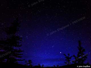 Blue Night Over the Pines – Deep-blue starry sky over pine silhouettes, Shasta Lake area.