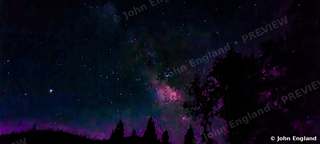 Milky Way Core – Milky Way core over a treeline, Northern California, May 19, 2020.