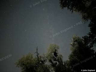Milky Way Through the Oaks – Milky Way through the oaks, Northern California, Oct 6, 2023.