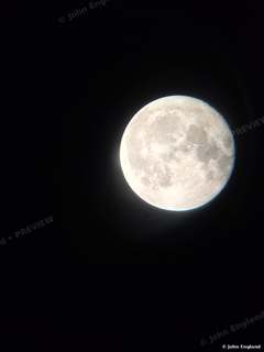 Nearly Full Moon – Nearly full moon, digiscoped near Hicks Lane, Chico, CA, Jul 22, 2024.