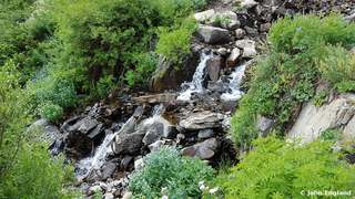 Alpine Waterfall and Wildflowers – Mountain waterfall with wildflowers, July 2015.