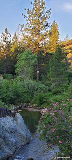 Forest Cascade – Forest stream over rocks below tall pines, Northern California, Jun 3, 2020.