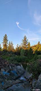 Pines over the Gorge – Pines above a rocky gorge, Northern California, Jun 3, 2020.