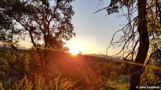 Solstice Sunrise Through the Oaks – Summer-solstice sunrise through the oaks, Magnolia Ave, Redding, CA.