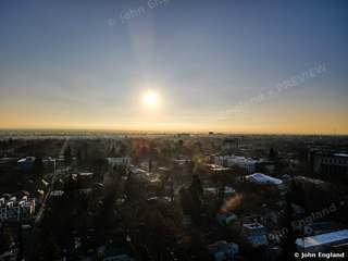 Midtown Canopy Sunrise – Sunrise over Midtown Sacramento tree canopy.