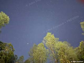 Stars Above the Oaks – Stars above the oaks near Shasta Dam and Shasta Lake, CA. Oct 6, 2025. John England.