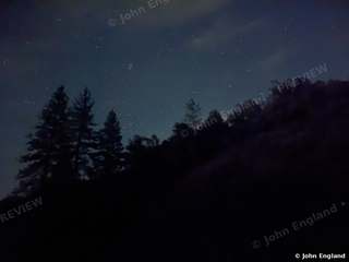 Pine Silhouettes Under the Stars, Shasta Lake – Stars over the pines, Shasta Lake area, CA. Aug 24, 2026. John England.
