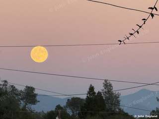 Orange Moonrise Over the Ridge – Orange moonrise over the ridge, north Redding, CA. Oct 6, 2025. John England.