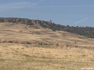 Golden Hills of Butte County – Golden hills near Oroville, Butte County, CA. Aug 26, 2026. John England.