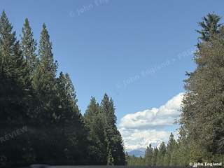 Pine Forest Valley Near Castle Crags – Pine forest valley near Castle Crags and Dunsmuir, CA. Sep 5, 2026. John England.
