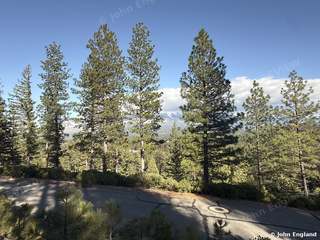 Pines and Snowcapped Peaks Near Weed – Pines and snowcapped peaks near Weed, CA. Mar 2, 2026. John England.