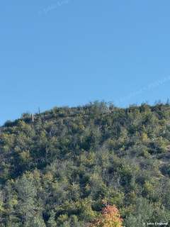 Oak Hillside, West Redding – Oak-covered hillside with a touch of fall color under clear blue sky, west of Redding. Oct 18, 2025. John England.